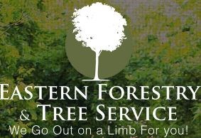 Avatar for Eastern Forestry & Tree Service