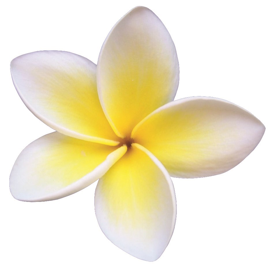 Avatar for Beachside Gardens LLC