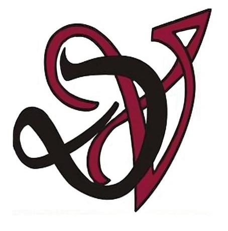 DaVinci Flooring Inc logo