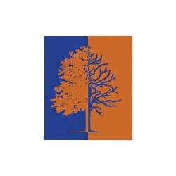 Logo for Timber Tree Care