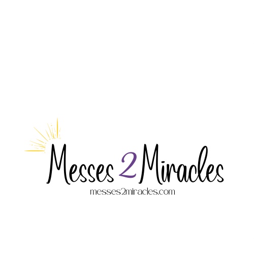 Avatar for Messes2Miracles