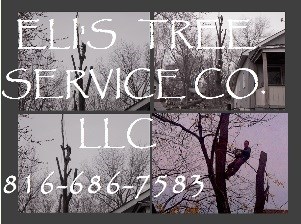 Avatar for Eli's Tree Service Company
