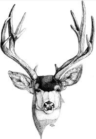 Logo for Buckhorn Heating And Air Conditioning