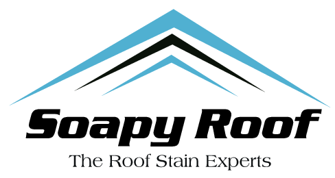 Avatar for Soapy Roof