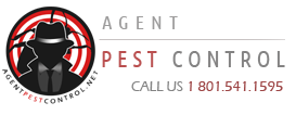 Avatar for Agent Pest Control