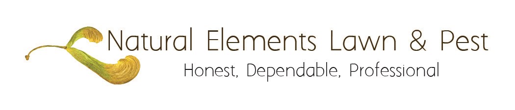 Avatar for Natural Elements Lawn & Pest