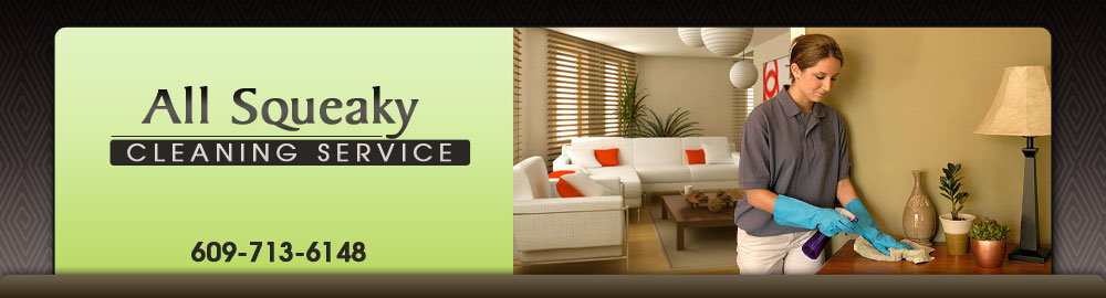 All Squeaky Cleaning Service logo
