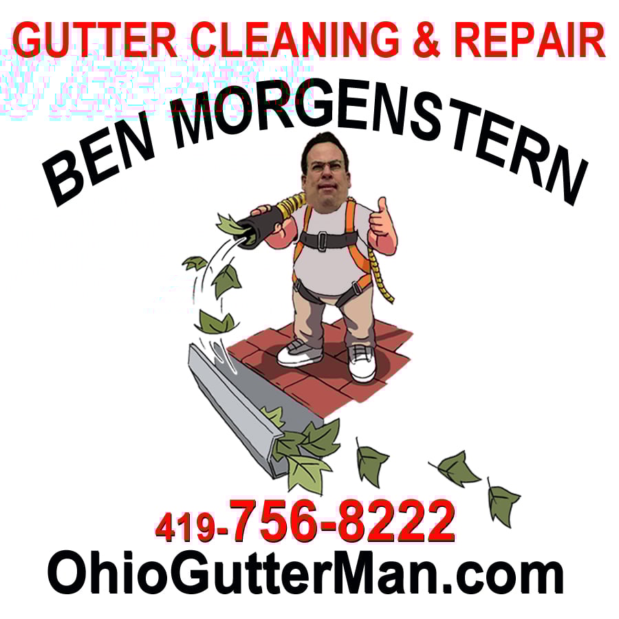 Avatar for Ben Morgenstern / Gutter Cleaning & Repair