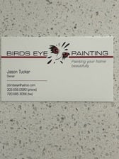 Logo for Birds Eye Painting