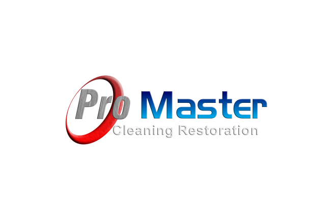 Logo for Pro Master Cleaning Restoration