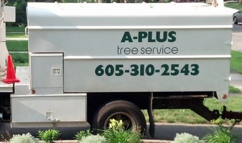 Avatar for A Plus Tree Services