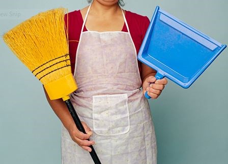 Logo for Maid's Plus Cleaning Service