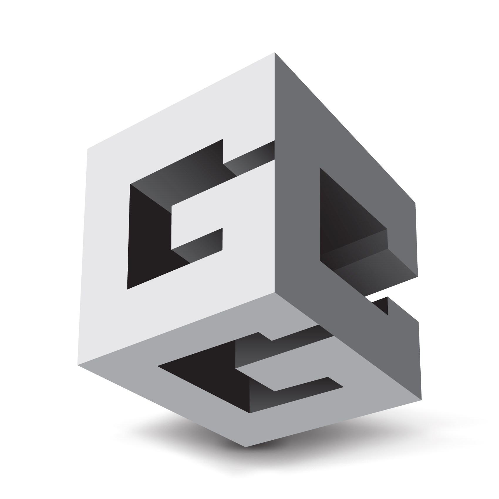 Avatar for Girard Construction Group Inc