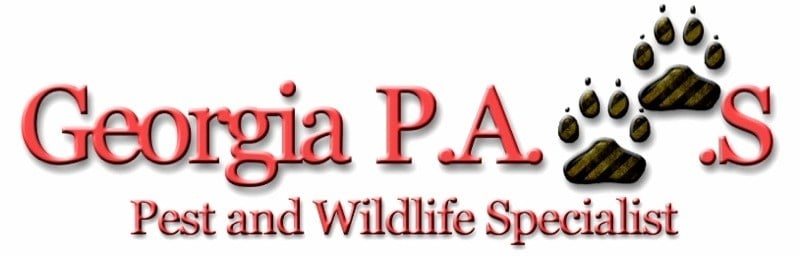 Logo for Georgia Pest and Wildlife Specialist