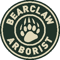 Avatar for Bearclaw Arborist