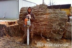 Avatar for R & S Tree Service