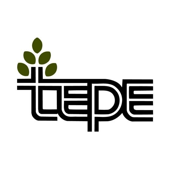 Logo for Tepe Environmental Services