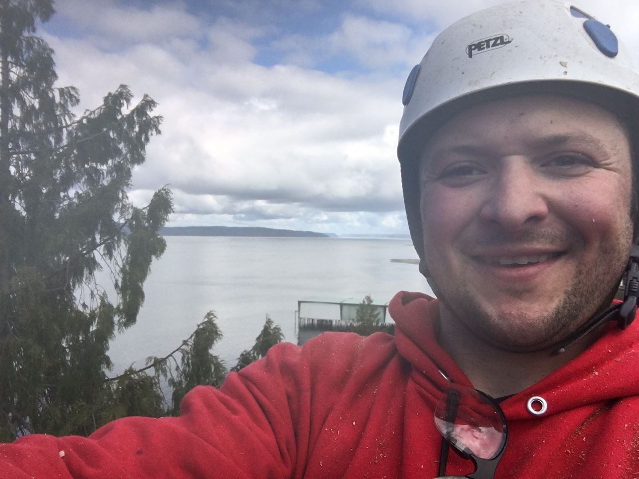 WASHINGTON TREE EXPERTS logo