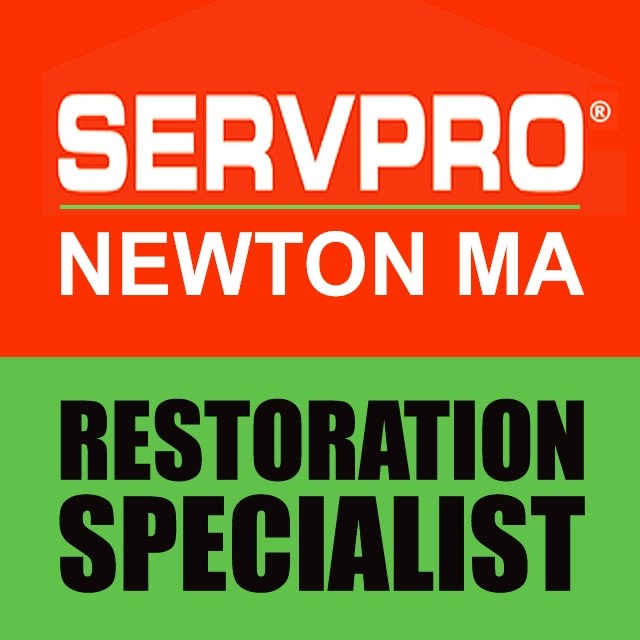 SERVPRO NEWTON/WELLESLEY (Under New Ownership) logo