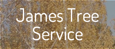 Logo for James Tree Service