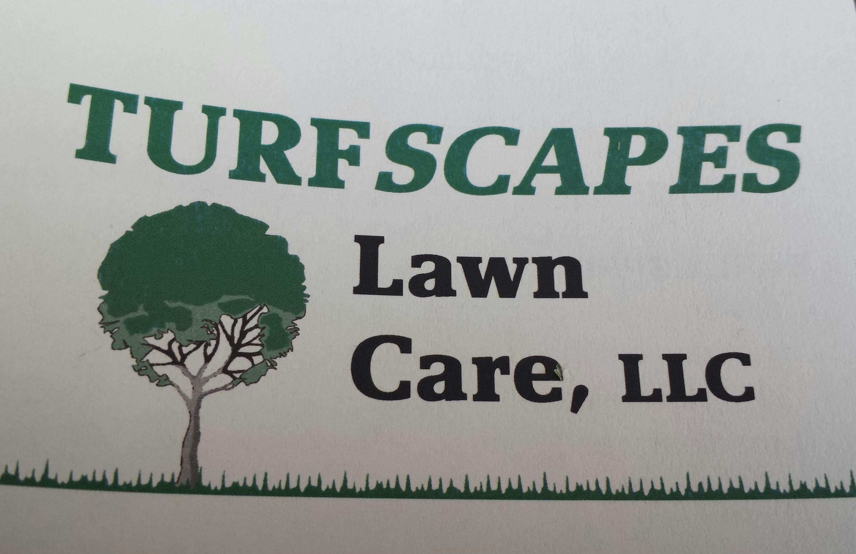 Avatar for Turfscapes Lawn Care LLC