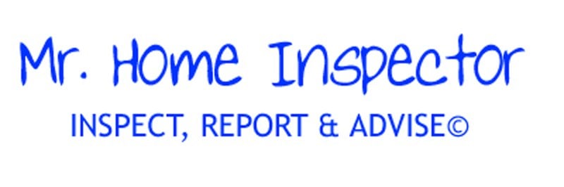 Avatar for Mr Home Inspector LLC