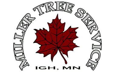 Logo for MILLER TREE SERVICE