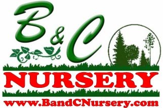 B & C NURSERY logo