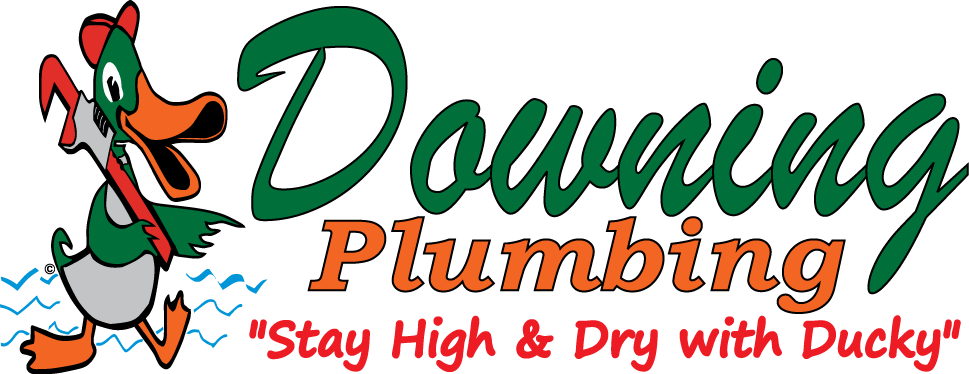 Avatar for Downing Plumbing