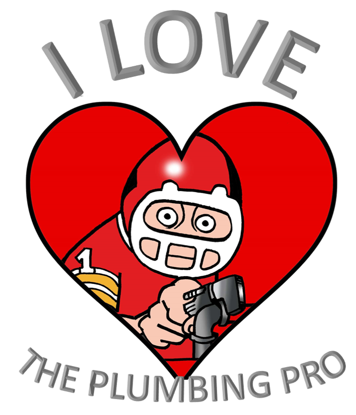Avatar for The Plumbing Pro