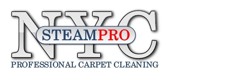 Logo for SteamproNYC
