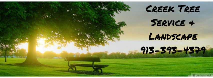 Creek Tree Service Inc logo