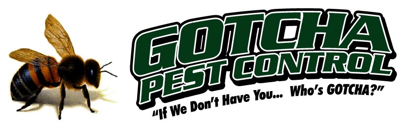Avatar for Gotcha Pest Control