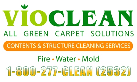 Logo for VioClean