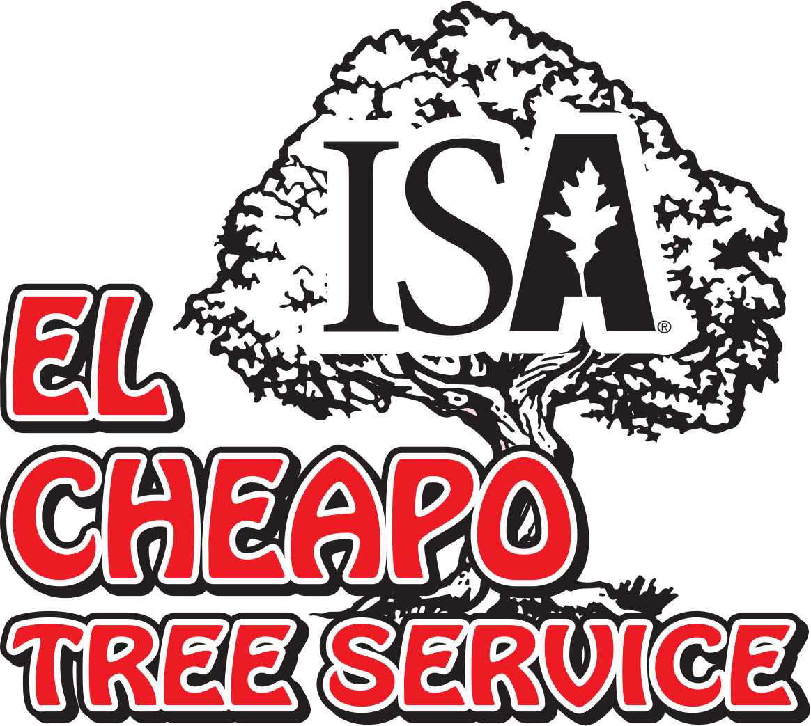 Avatar for El Cheapo Tree Service