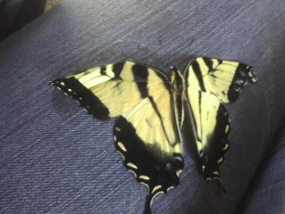 Logo for H&W  Cleaning