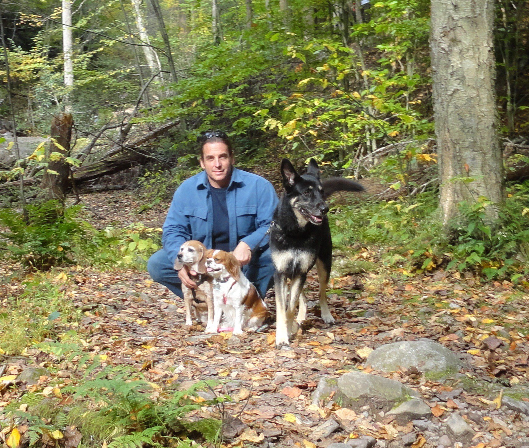 Avatar for T Wolf Home Improvements