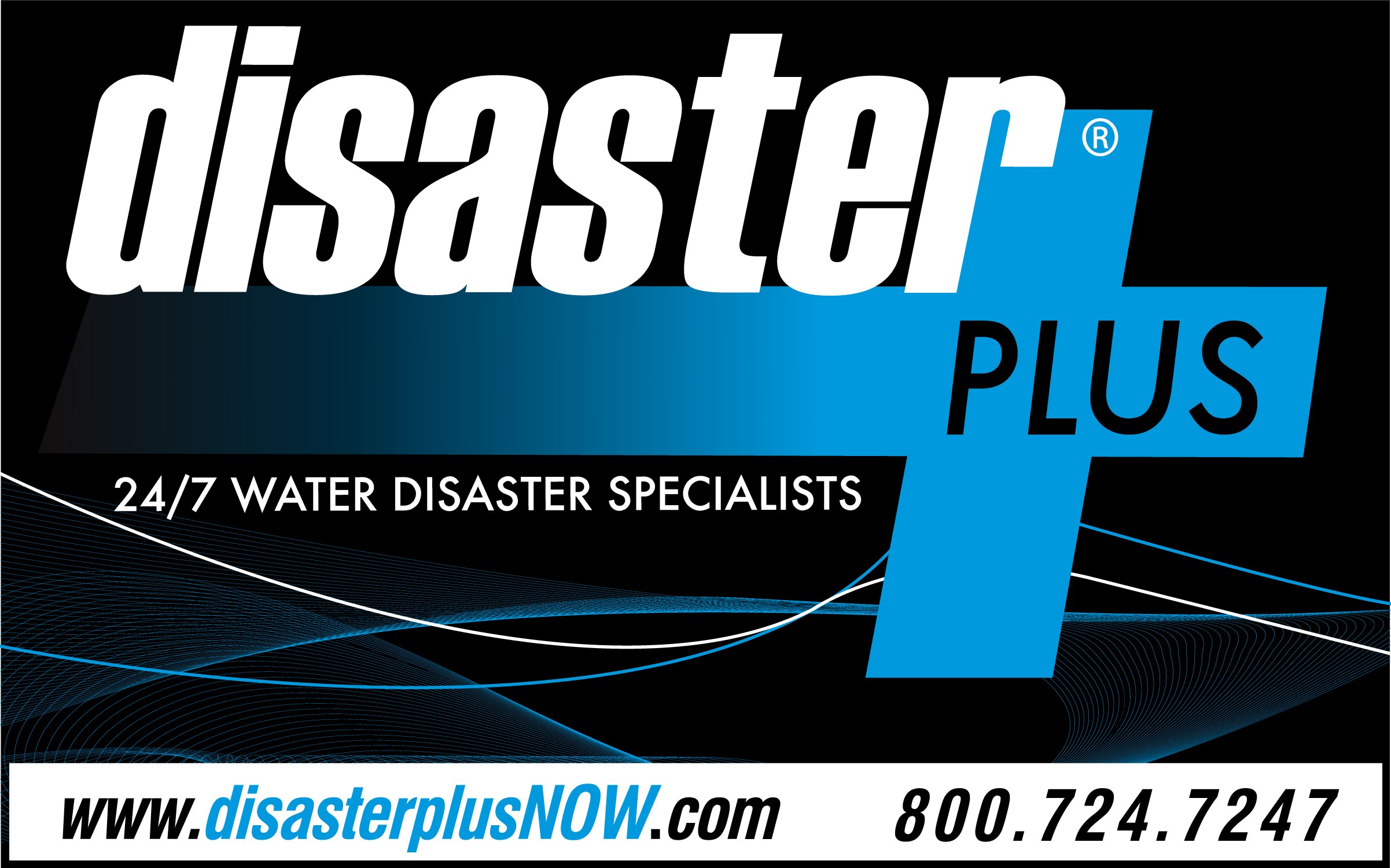 Avatar for Disaster Plus