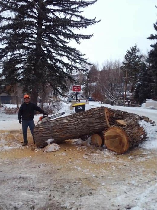 Avatar for Gonzales Firewood And Trees