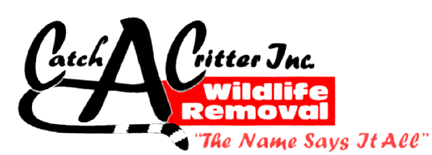 Avatar for Catch-A-Critter Inc Wildlife Removal