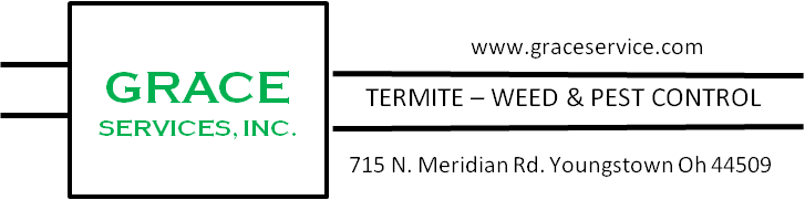 Avatar for Grace Services Inc