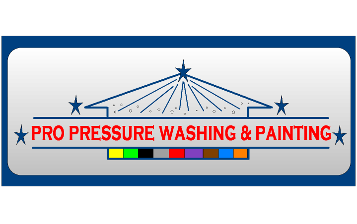 Avatar for Pro Pressure Washing & Painting