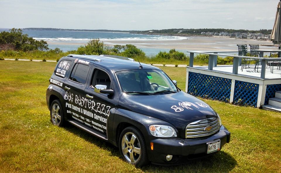 Avatar for Bug Busterzzz