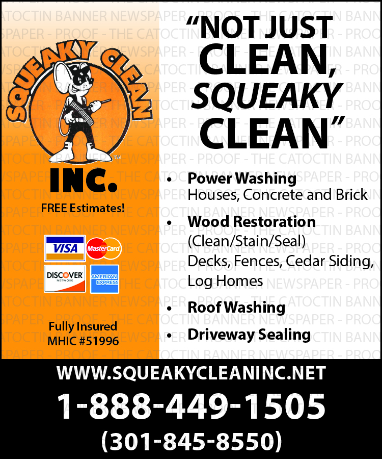 Logo for Squeaky Clean