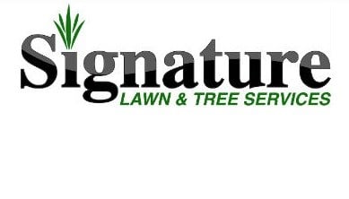 Avatar for Signature Lawn & Tree Services