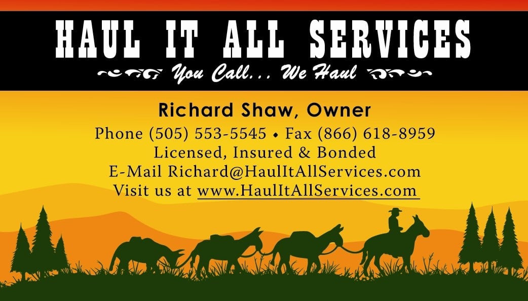 Avatar for Haul It All Services