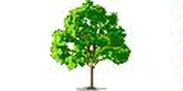 Sutton's Tree Service Inc logo