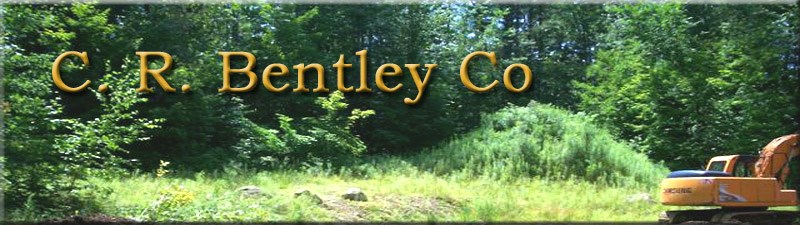 Avatar for C R BENTLEY CO