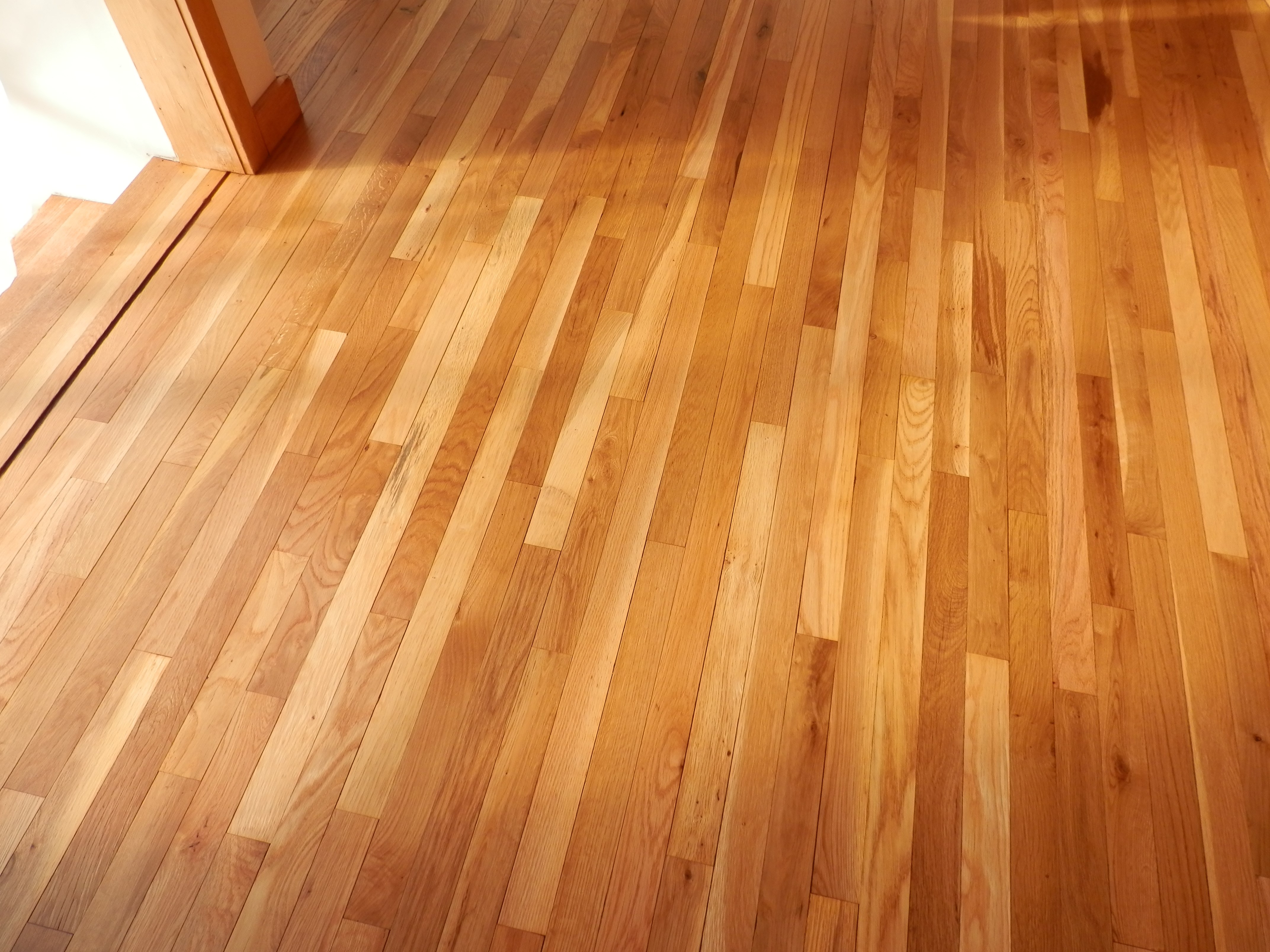 Avatar for Rick Arnold