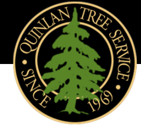 Quinlan Tree Svc logo